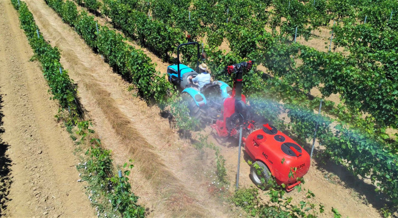 MG 600 C Spraying Vineyard